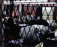nyc_sweatshop.jpg (9746 bytes)