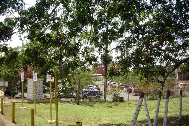 PDC_0067