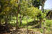 PDC_0025